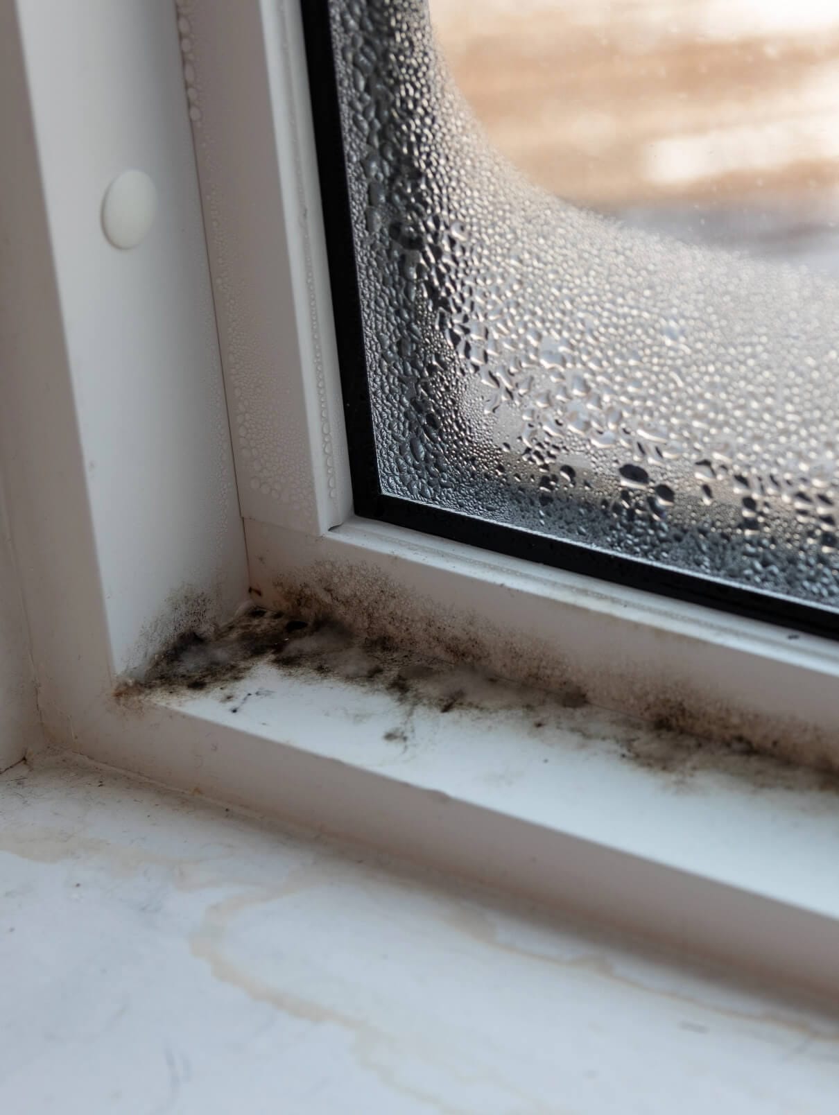 mold 2