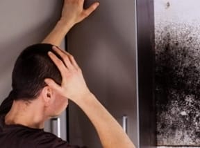 mold 3